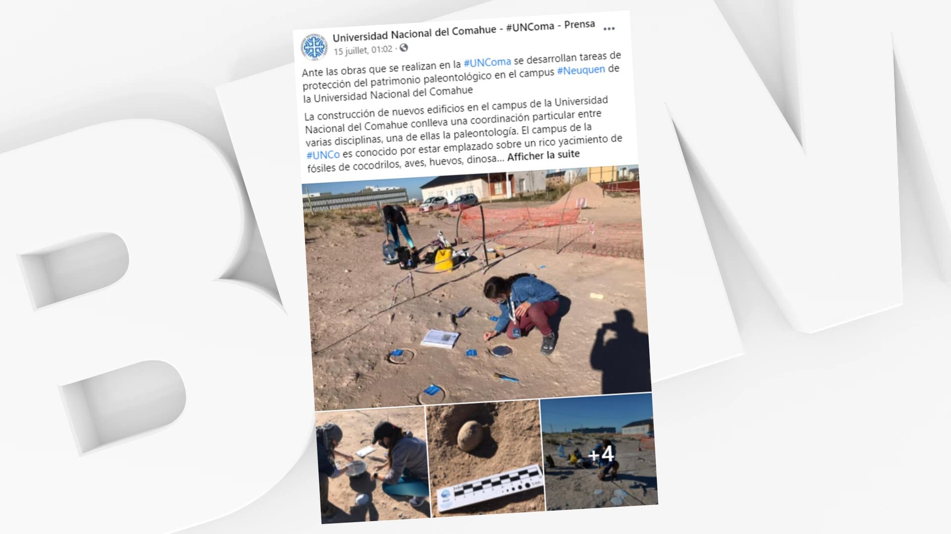 Argentine: découverte de 160 oeufs d'oiseaux préhistoriques - Vimarsana News