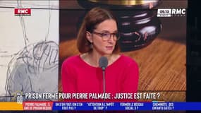 Procès Palmade : "L'alcool, les drogues sont des éléments qui ravagent la société", souffle Barbara Lefebvre