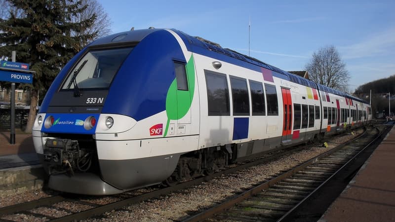 La rame a été retirée de la circulation pour nettoyage et les passagers transférés sur une autre ligne (photo d'illustration).