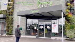 Talents d'ici : Fleurs Barthel