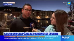 Alpes-Maritimes: la saison de la pêche aux oursins est ouverte