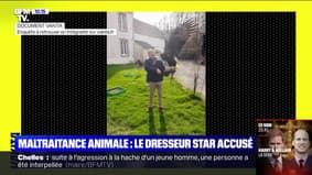 Le dresseur star Pierre Cadéac accusé de maltraitance animale