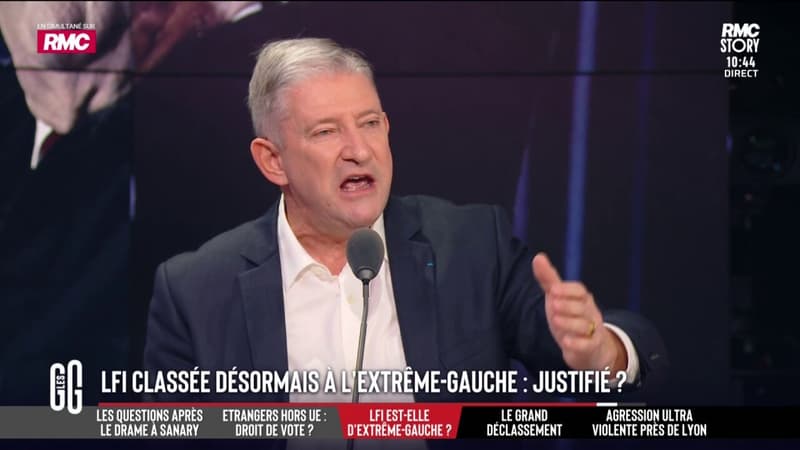 LFI, d'extrême gauche ? "Ce sont des extrémistes et des révolutionnaires en puissance"