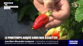 Fraises, asperges ... le printemps arrive lentement sur nos assiettes