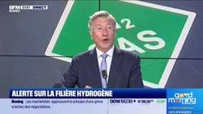 Philippe Boucly (France Hydrogène) : Hydrogène vert, l'UE doit mieux s'organiser - 18/07