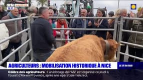 JT du Sud du jeudi 1er février