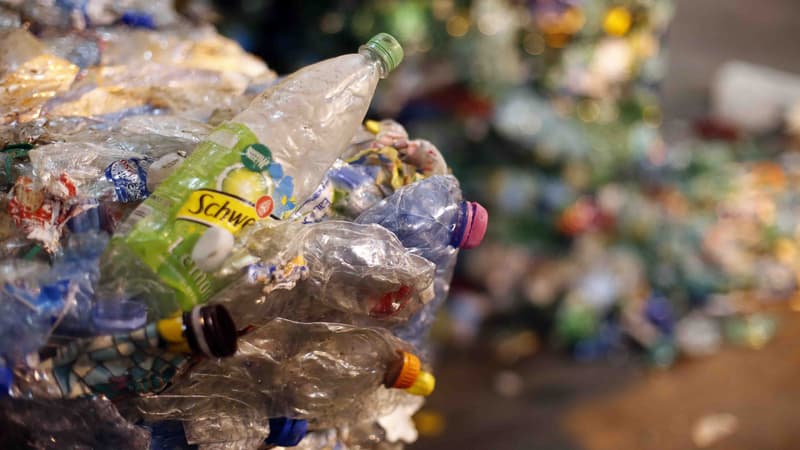 Des bouteilles de plastique recyclées