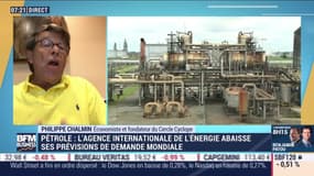 Philippe Chalmin (Cercle Cyclope): L'Agence internationale de l'énergie abaisse ses prévisions de demande mondiale de pétrole - 14/08
