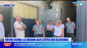 Fièvre catarrhale ovine: la région Hauts-de-France veut rassurer les éleveurs