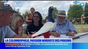 Les Ch'tites Sorties du samedi 28 septembre 2024 - La colombophilie, passion nordiste des pigeons