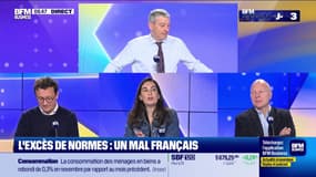 Les Experts : Crise politique ou creusement du déficit ? - 10/01