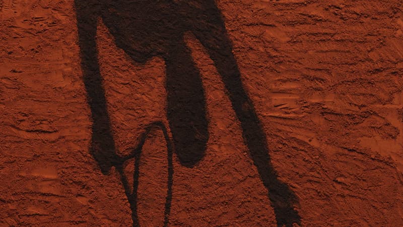 L'artiste brésilien Vik Muniz a réalisé l'affiche de Roland-Garros 2017.