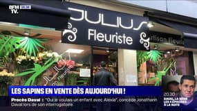 Les sapins de Noël sont en vente dès ce vendredi