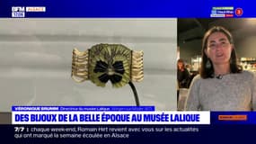 Wingen-sur-Moder: des bijoux de la Belle époque exposés au musée Lalique