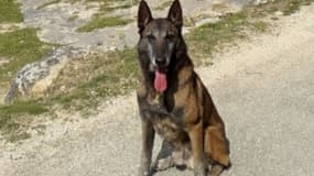 Narko, le nouveau retraité