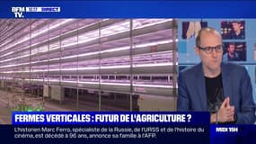 Agriculture: pourquoi les fermes verticales gagnent-elles en popularité?