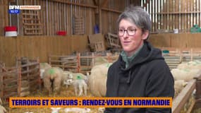 Terroirs & Saveurs, rendez-vous en Normandie - Lundi 12 mai 2025