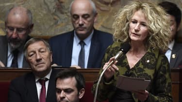 La députée LaREM Martine Wonner à l'Assemblée nationale.