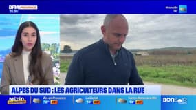 JT du Sud du mercredi 6 novembre