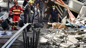 Des pompiers et un chien de recherche et secours tentent de retrouver des corps, après l'effondrement d'un immeuble à Tenerife, le 14 avril 2016.
