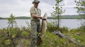 Bon nombre de Russes mettent en doute le poids -21 kg, aux dires du Kremlin- du brochet attrapé par Vladimir Poutine lors d'une partie de pêche en Sibérie en compagnie du Premier ministre, Dmitri Medvedev. /Photo prise le 20 juillet 2013/REUTERS/Alexei Ni