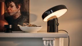 Le haut-parleur Blomprakt d'Ikea