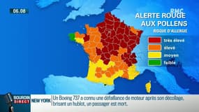 Allergies aux pollens: de plus en plus de Français sont allergiques 