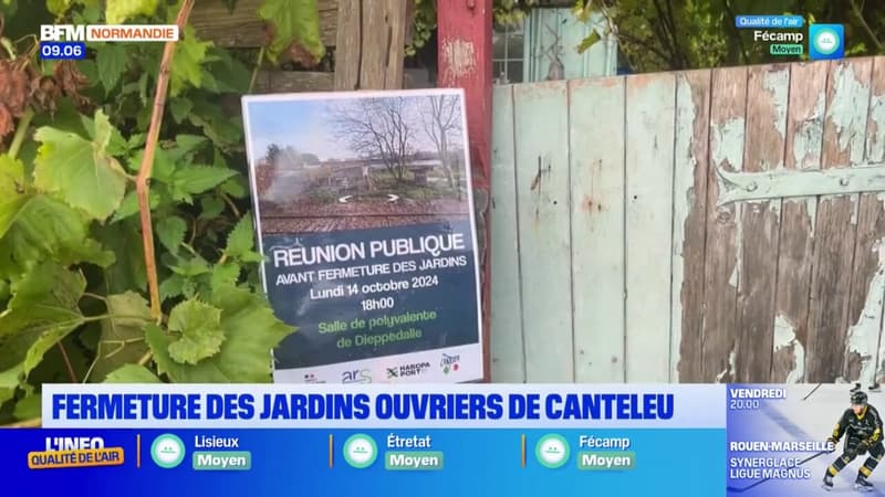 Seine-Maritime: à cause de la pollution des sols, les jardins ouvriers de Canteleu vont devoir fermer