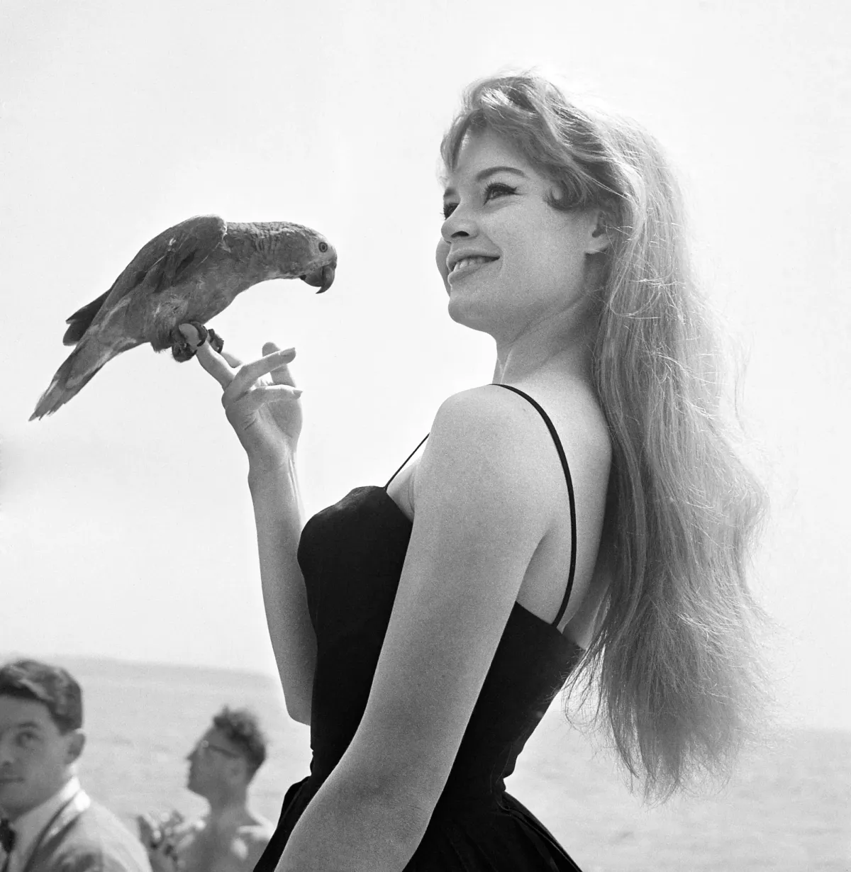 DIRECT. Mort de Brigitte Bardot: Line Renaud salue sa "sœur de combat. Elle  pour la défense des animaux, moi contre le Sida"