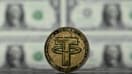 Le Tether est une cryptomonnaie de type de stablecoins.