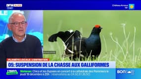 Planète Locale du mercredi 30 octobre - 05 : suspension de la chasse aux galliformes