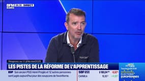 Les Experts : Les pistes de la réforme de l'apprentissage  - 21/05