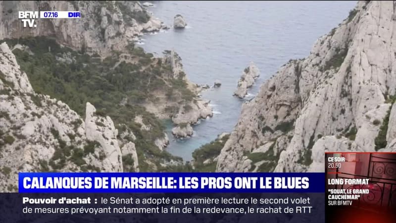 Calanques de Marseille: pourquoi les professionnels du tourisme ont le blues
