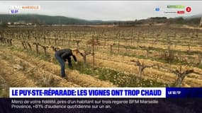 Fourques: un agriculteur accuse Carrefour de l'avoir ruiné
