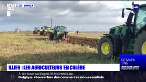 Illies: les agriculteurs mobilisés contre l'urbanisation des terres fertiles