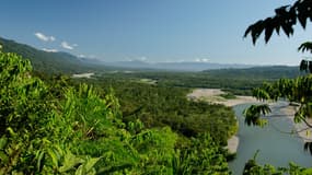 L'Amazonie péruvienne. 