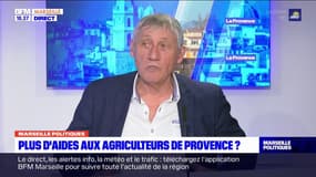 Augmenter les aides pour les agriculteurs: pour le président de la chambre d'agriculture des Bouches-du-Rhône, "c'est une bonne question" 