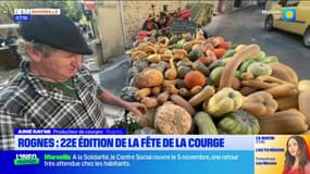 Bouches-du-Rhône: la 22e édition de la fête de la courge organisée dimanche à Rognes