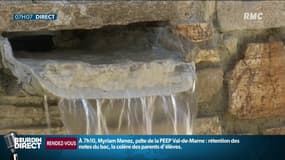 Sécheresse: "Depuis deux mois, j'arrive à peine à arroser le jardin", les restrictions d'eau touchent de nombreux départements