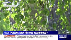 Pollens : bientôt tous allergiques ? - 18/06