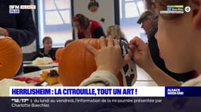 Herrlisheim-près-Colmar: un atelier pour apprendre aux enfants à creuser les citrouilles