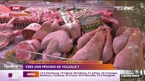 Grippe aviaire, guerre en Ukraine... pourquoi il est difficile de trouver de la volaille