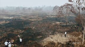 Incendies en Indonésie: le président Joko Widodo se rend dans la région la plus touchée