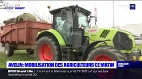 Avelin: les agriculteurs se mobilisent ce mardi matin