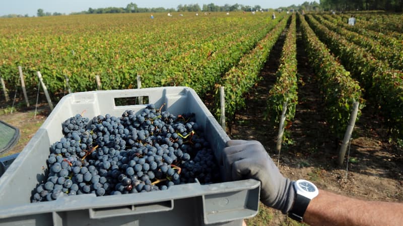 Les prix se sont envolés à Pessac