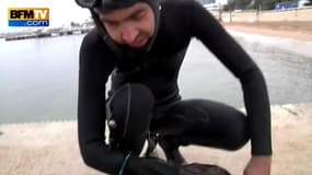 Cannes: des fonds marins tapissés de déchets