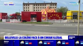 Belleville : la colère face à un cirque illégal