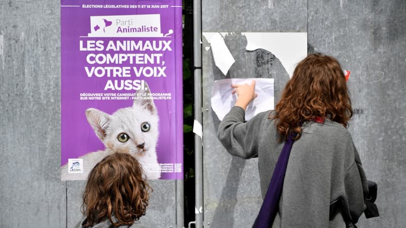 Affiche du parti animaliste pour les élections européennes de mai 2019