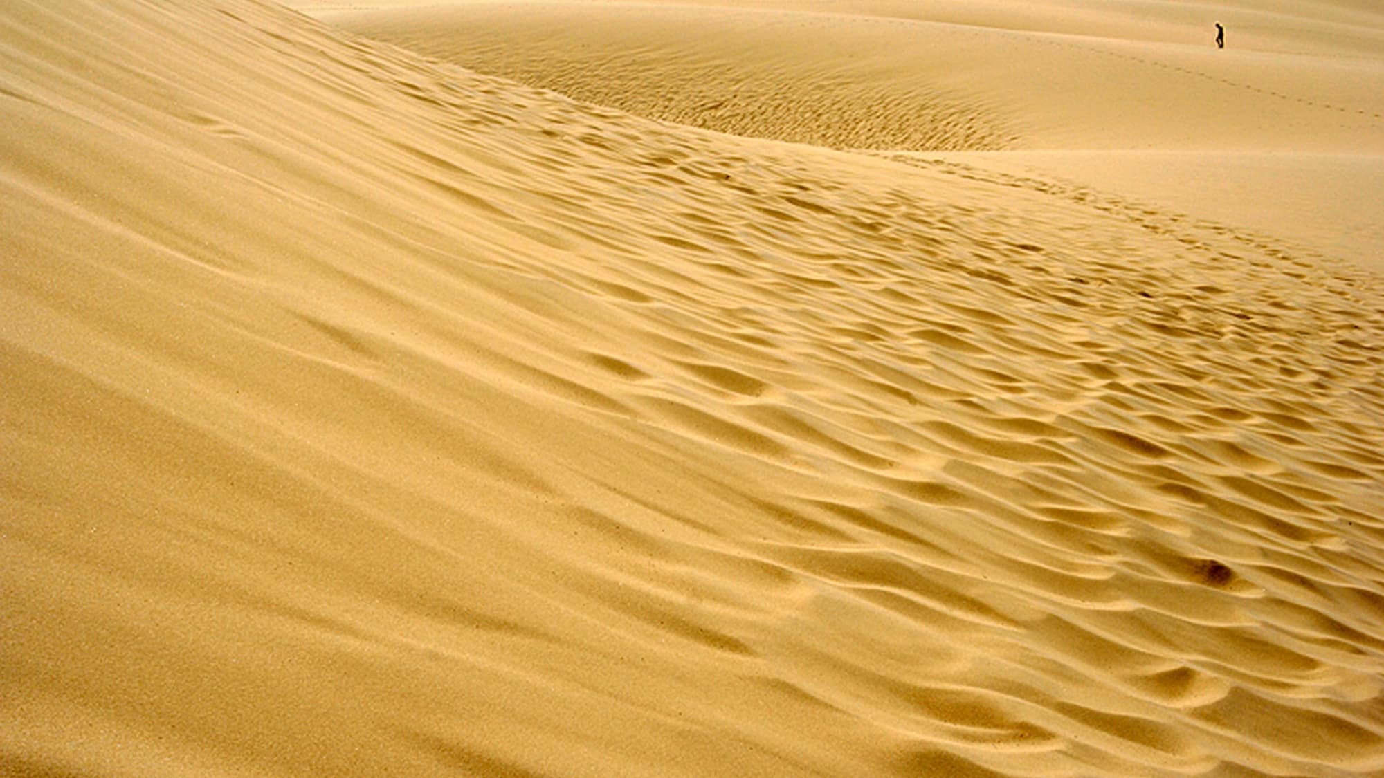 Selon la perspective, on peu s'y croire dans un désert. Selon la perspective, on peu s'y croire dans un désert.