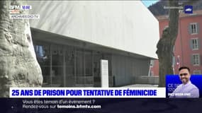 Tentative de féminicide à Digne-les-Bains: l'accusé condamné à 25 ans de réclusion criminelle